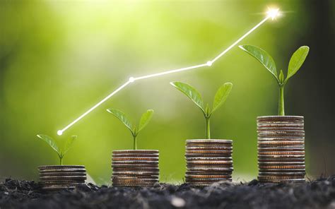 refocus  savings  investments   life  comfortable