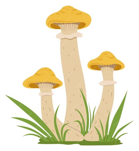 Premium Vector Cartoon Honey Fungus Icon Wild Nature Element