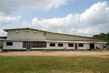 Marie Sharp S Habanero Hot Sauce Interview With Belize S Marie Sharp