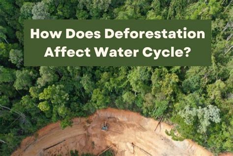 Deforestation Causes Effects And Preventive Measures Off