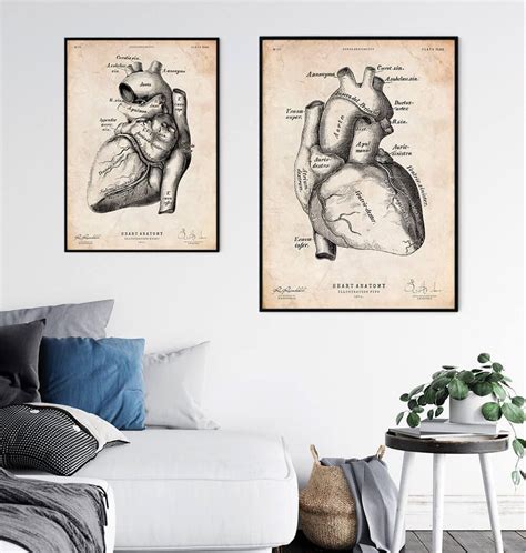 Heart anatomy poster II - Vintage - Codex Anatomicus