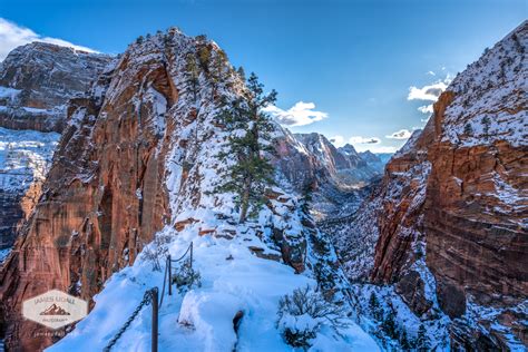 Zion National Park in Winter - James Udall