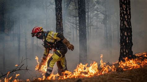 Incendios Canarias Un Día Con Los Bomberos Forestales De Canarias Una Labor Que Trasciende A