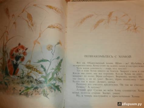 Книга: Приключения Хомы - Альберт Иванов. Купить книгу, читать рецензии ...