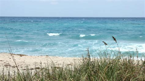 Nude Beaches In Florida To Be Free And Fun
