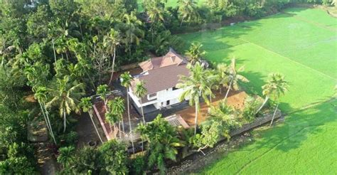 Surrounded by paddy fields, this Kuttanad house is a sight to watch ...