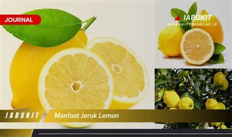 Temukan Jurnal Manfaat Jeruk Lemon Khasiat Jarang Diketahui