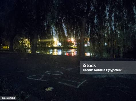 Taman Malam Dengan Kolam Dan Menggambar Di Aspal Lanskap Dengan Lentera