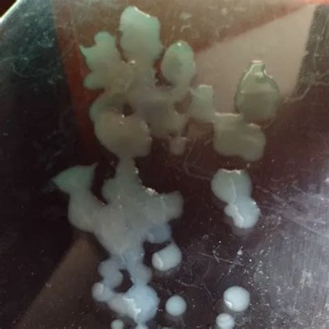 Carla Gugino Nude Sexy Compilation Hd Xhamster