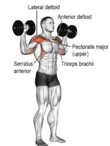 Overhead Dumbbell Press: Muscles Worked, How To Do, Benefits