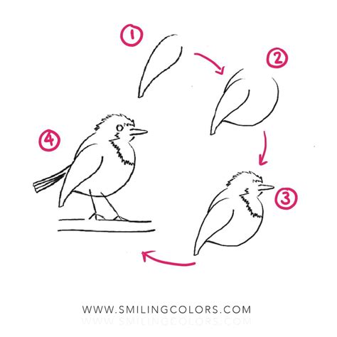 5 Ways How To Draw A Bird Worksheet Smiling Colors