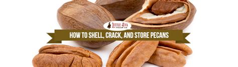 How To Shell Crack And Store Pecans