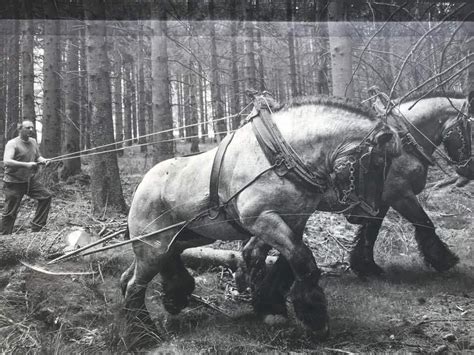 The Original Units That Made Horsepower” A Unit Of Measurement R