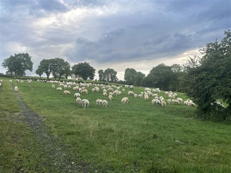 Budget 2024: Over €700m for agri-environment initiatives - Agriland.ie