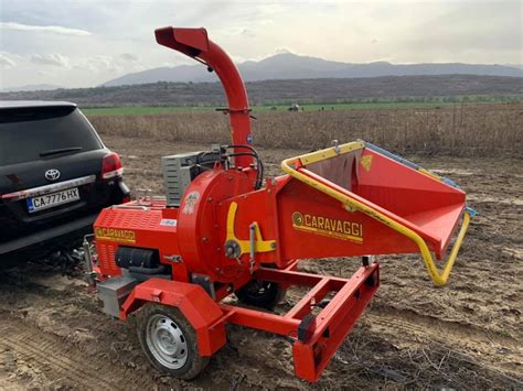 Производство и отглеждане на разсад, фиданки и резници от Пауловния