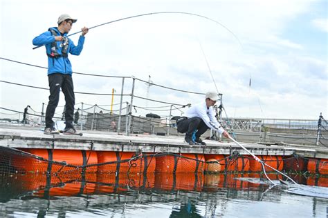 今週のbabababa爆釣fishing！は初心者必見！海上釣り堀でマダイ、青物狙い！ 釣りの総合ニュースサイト「lurenewsr