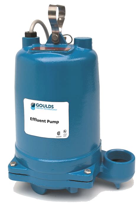 Goulds Submersible Well Pump