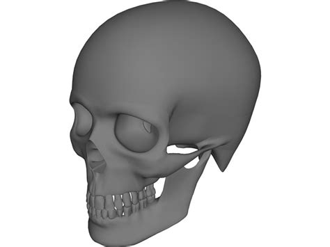 Skull 3d Print Files