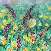 Arizona Cactus Wren Painting By Judy Filarecki Fine Art America