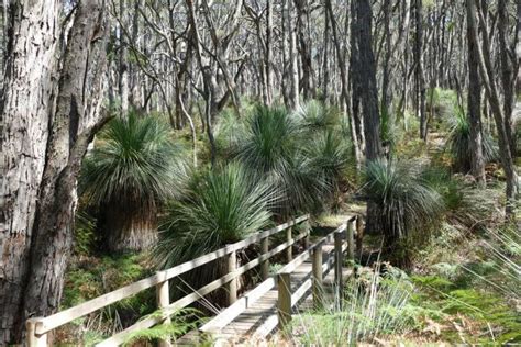 Deep Creek Camping Cottages Walks