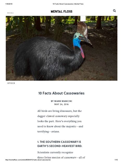 10 Facts About Cassowaries Mental Floss Pdf Claw Birds