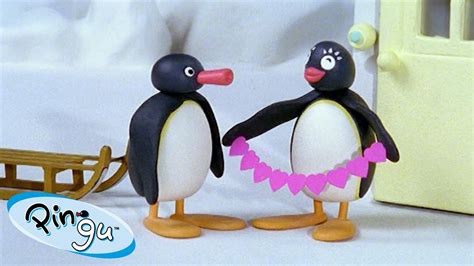 Pingu Pingi Collection