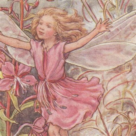 Flower Fairies The Yarrow Fairy Vintage Print C1930 By Cicely Etsy