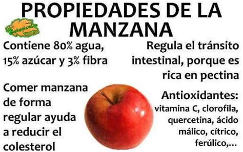 Beneficios De La Manzana Que Seguro No Sab As