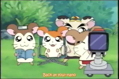 Tottoko Hamtarou Episode 158 English Subbed Watch Cartoons Online