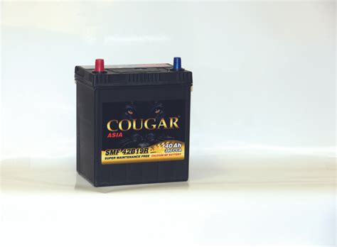 Аккумулятор автомобильный COUGAR ASIA купить по выгодной цене в ...