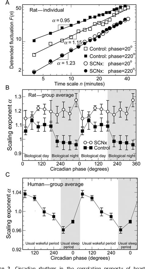 Figure 2 From The Circadian Pacemaker Generates Similar Circadian