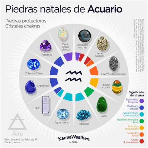 Descuento Fracci N Paleto Informaci N Sobre El Signo Acuario