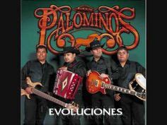 12 Los Palominos ideas | palomino, tejano music, tejano