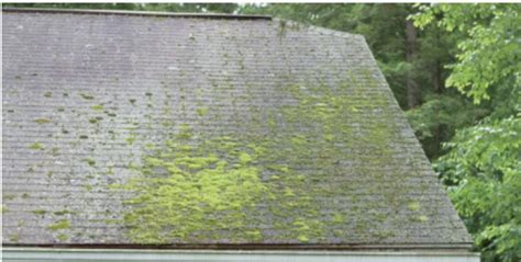 Mold On Shingles Removal