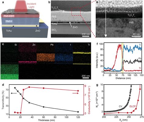 Interface Engineering To Drive Highperformance Mxene Pbs Quantum Dot