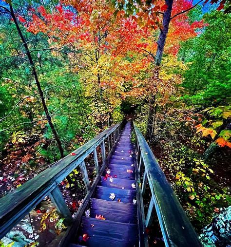 Hiking In Red River Gorge Your Guide To The 10 Best Trails Travel Virgin