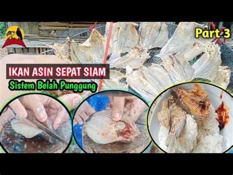 Membuat Ikan Asin Sepat Siam Belah Punggung Full Dari Awal Sampai