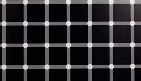 This Optical Illusion Has Us Seeing Dots That Aren’t Really There