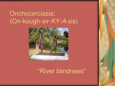 Ppt Onchocerciasis On Kough Sir Ky A Sis River Blindness