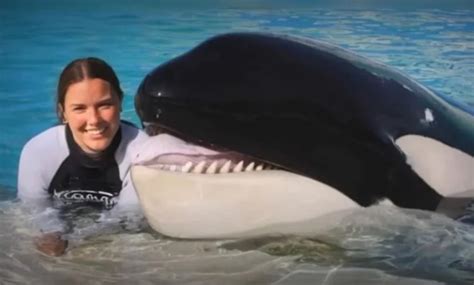 Jéssica E A Orca É Verdade - Jessica Radcliffe y la verdad detrás del supuesto ataque de una orca ...