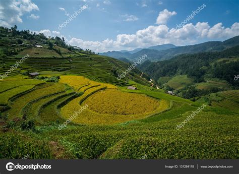 Terraced Rice Field In Mu Cang Chai Vietnam Stock Photo BiancoBlue