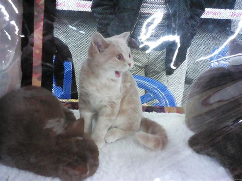 Удачный кадр. | Пикабу