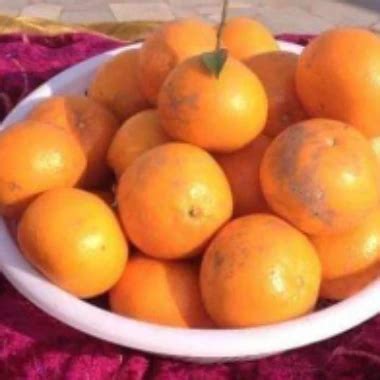 Sex HD Panjbe Pakistani Gay Spanking Amateur Porn XHamster