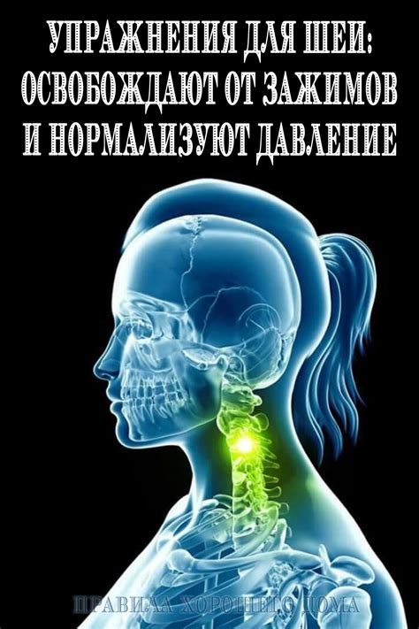 #упражнения #для #шеи #шейный #остеохондроз | Health, Health fitness ...