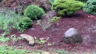 Fucking Pine Cones Free BDSM HD Porn Video 74 XHamster XHamster