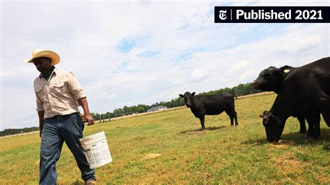 Usda Will Begin Relief Payments To Black Farmers In June The New York Times