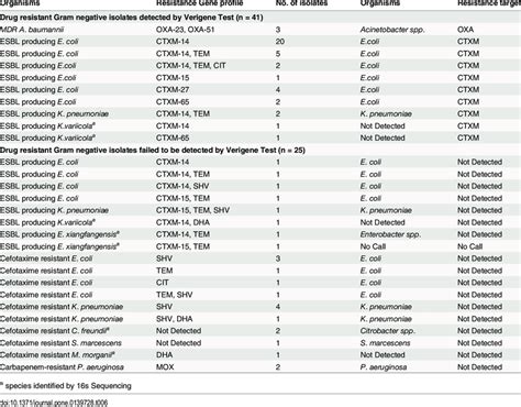 Resistance Gene Profile In Gram Negative Organisms Collected In This