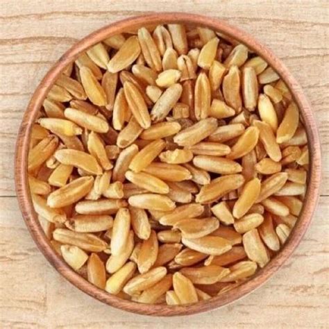 Golden Loose Indian Durum Wheat At Rs 2200 Quintal In Sriganganagar