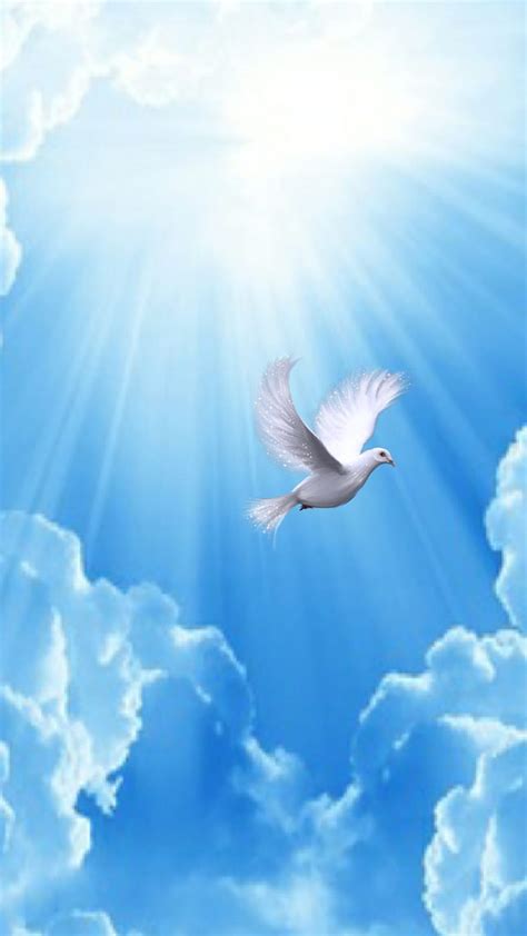 Heavenly Dove Background