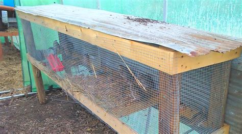 Quail Cage Simple Plans